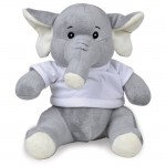 FOR 12 19ELE